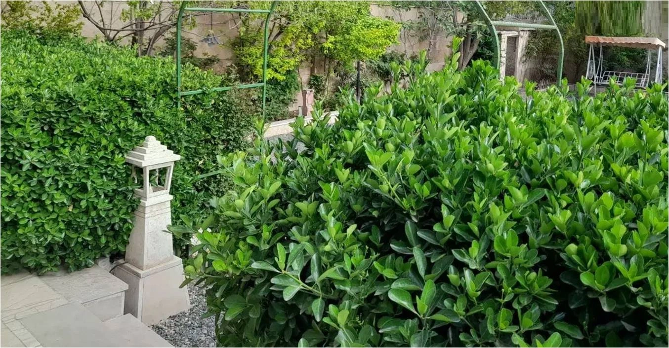 فروش باغچه مشجر و محصور در لوکیشن بکر فیل‌زمین فیل‌یان لواسان